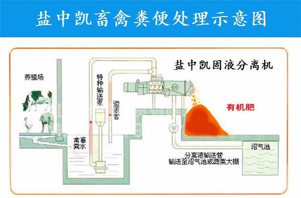 糖心成人短视频