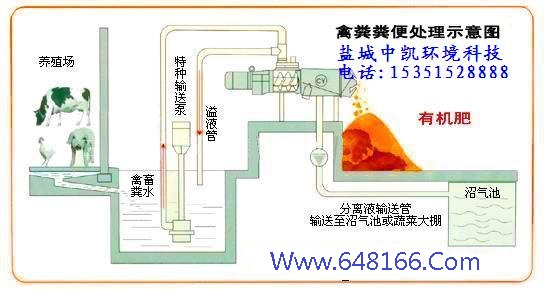糖心网页版入口示意图